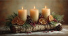 Lighted Christmas Birch 16x30