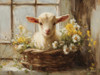 Spring Cottage Lamb 12x16
