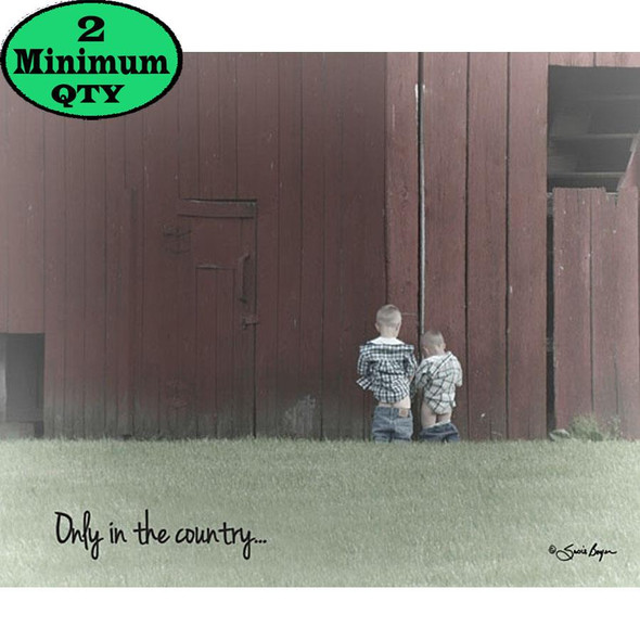 ONLY IN THE COUNTRY 12X16 TL