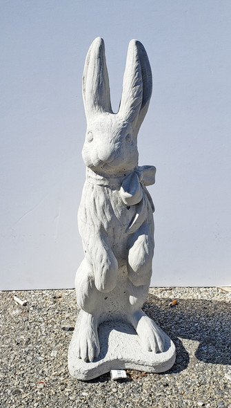Rabbits