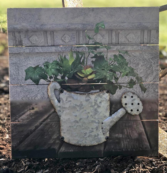 SUCCULENTS & IVY IN SPRINKLING