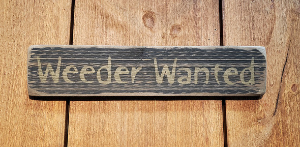 Weeder Wanted (BWS395)