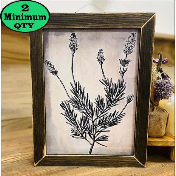 Spanish Lavender Illustration 12x16