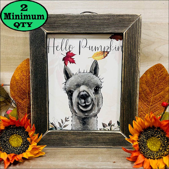 Hello Pumpkin Alpaca 8x10