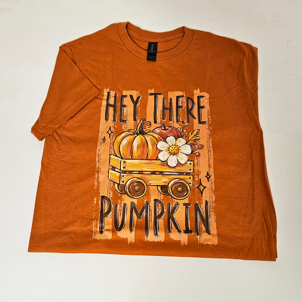 Hey There Pumpkin XL T-Shirt