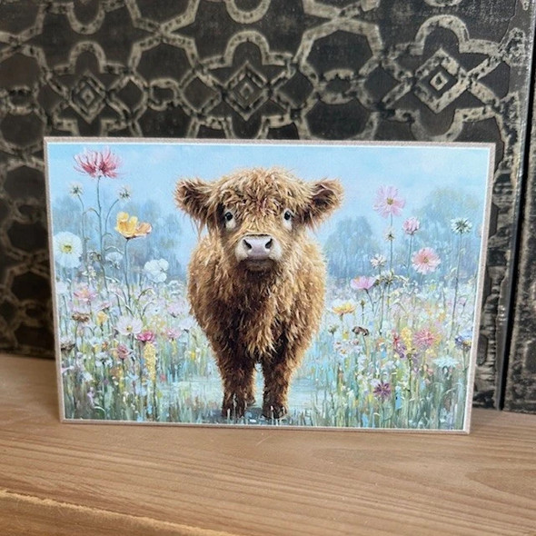 Curious Highland Cow 4X6 Block