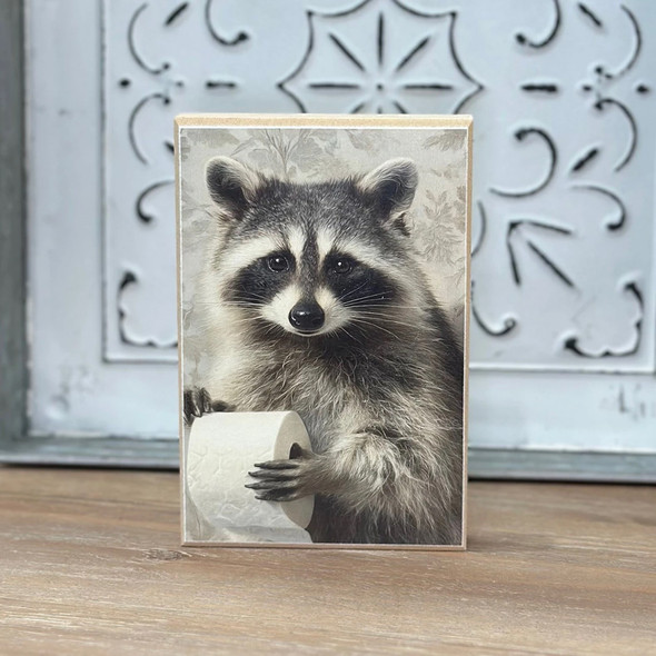 Raccoon Bathroom Block