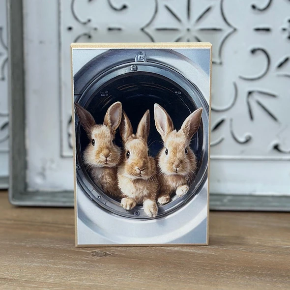 Laundry Rabbits Block