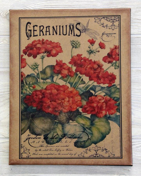 11X14 GERANIUMS