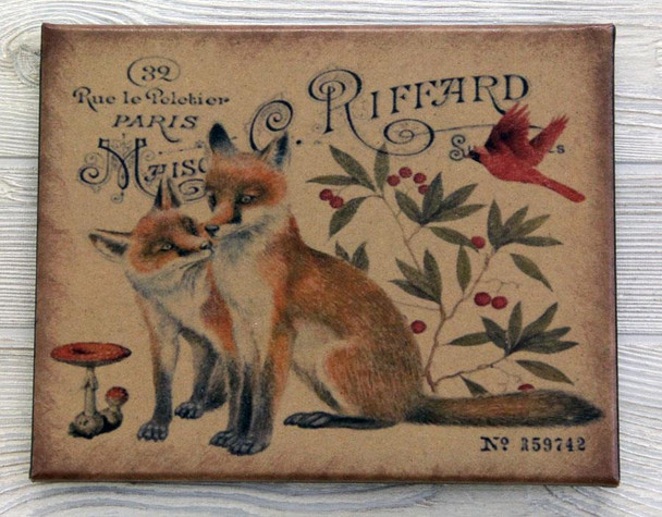 8X10 WOODLAND FOX