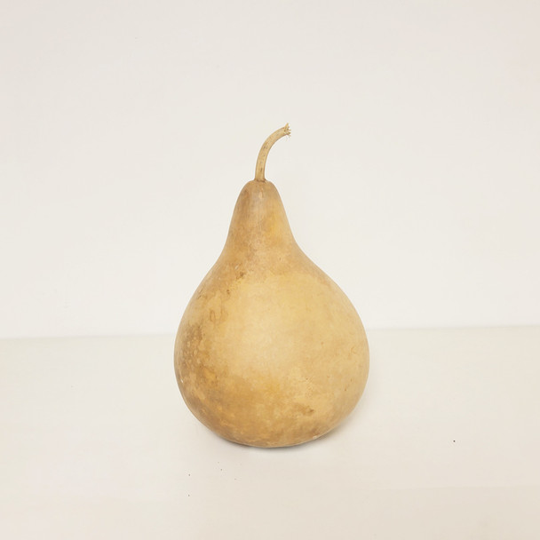 Medium Martin Gourd