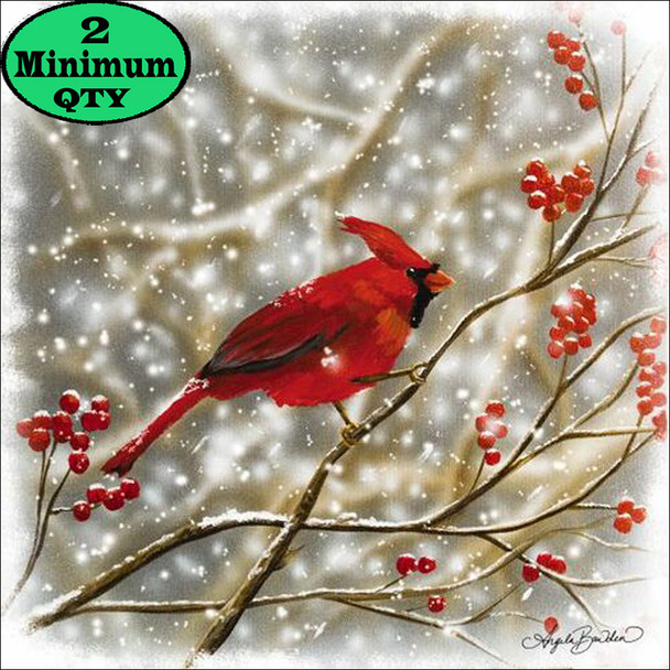 Winter Perch 12X12 Winter Perch 12X12