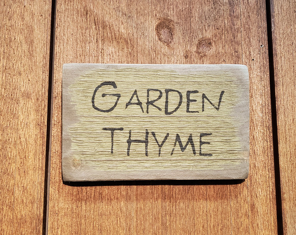 Garden Thyme (9X5) (BWS825)