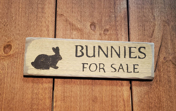 Bunnies For Sale (BWS325)