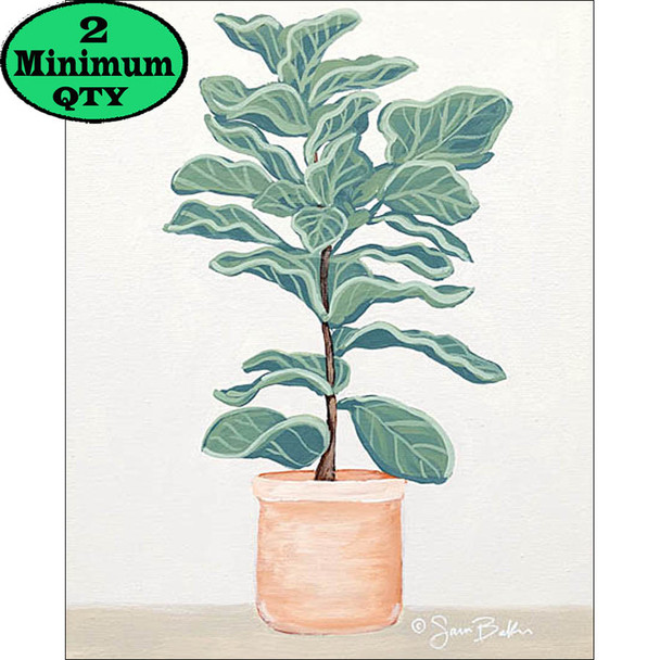 Fiddle Fig Pot 12X16