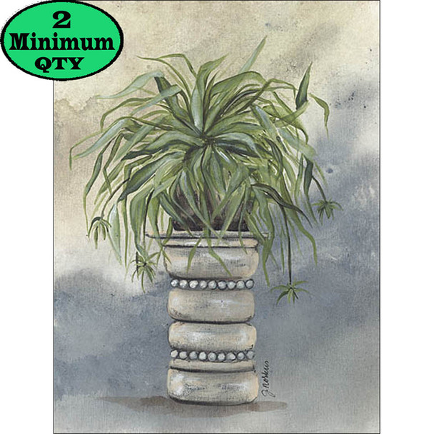 Cascading Spider Plant 12X16