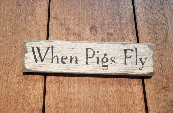 When Pigs Fly (BWS776)