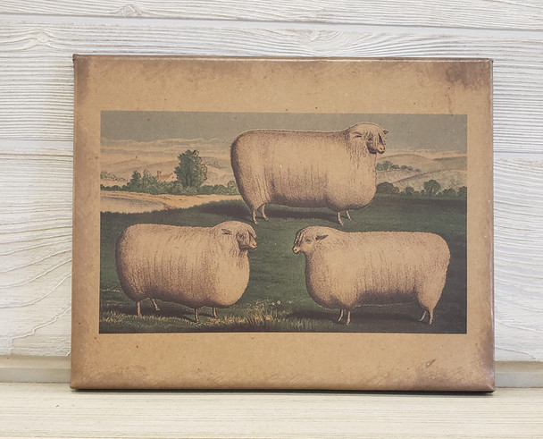 8X10 Three Sheep