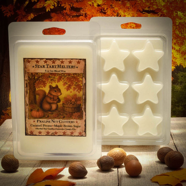 Praline Nut Cluster 4 oz Star Tart Wax Melter