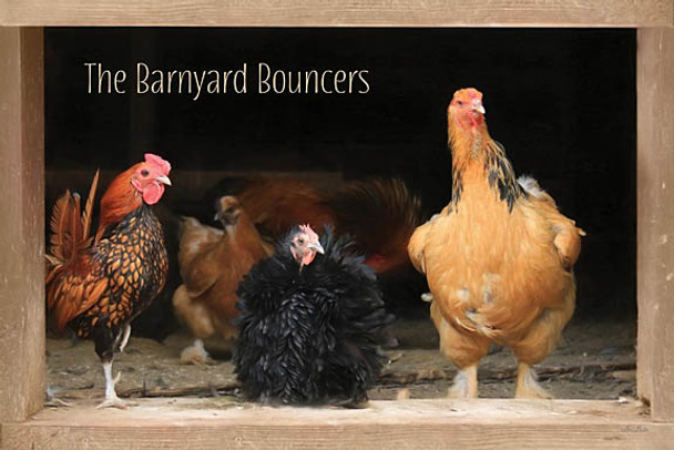 Barnyard Bouncer 12X18