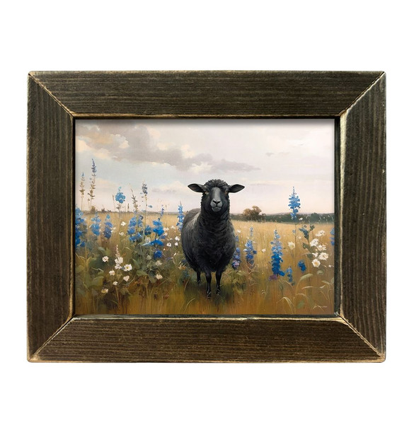Black Sheep in Bloom 8x10