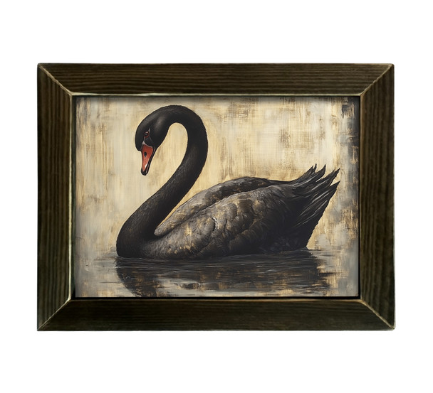 Dark Antique Swan 12x16