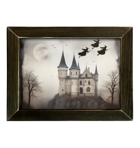 Midnight Flight 12x16