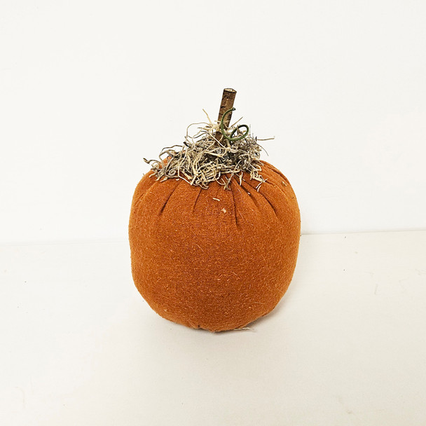 At Lg Pumpkin