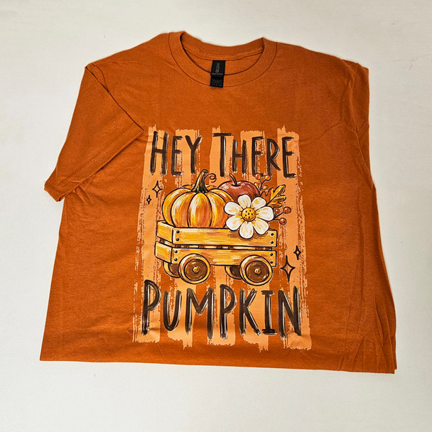 Hey There Pumpkin Large T-Shirt