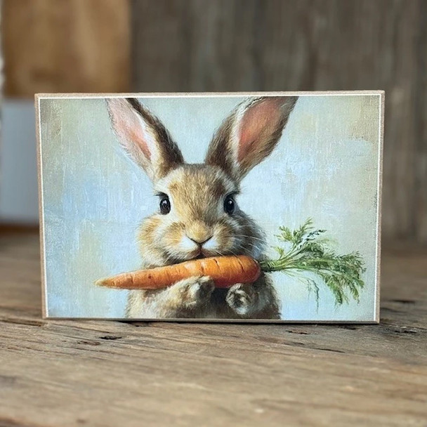 Cute Bunny Carrot Block