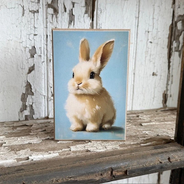 Baby Bunny Block