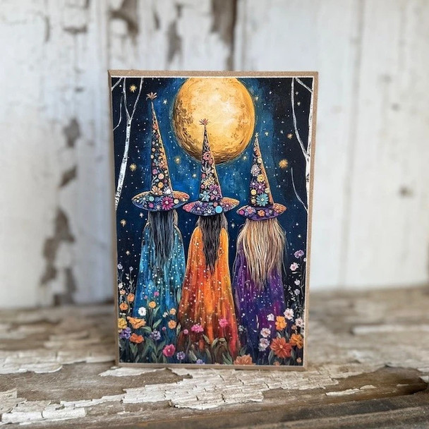 Colorful Witch Sisters Block