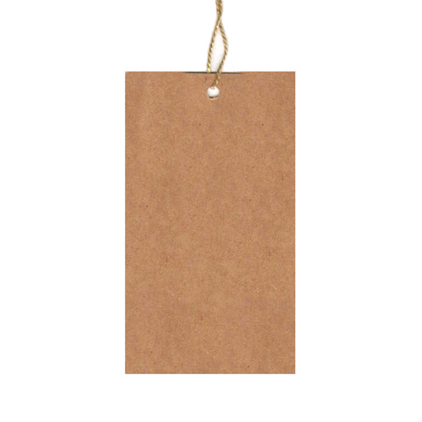 String Tags 2.25X4 (100)