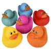 Rubber Duckies 5.5" Collectible Bulk 72 Pieces Six Assorted Colors Red Orange Yellow Teal Blue Fuchsia Carnival Prizes Party Favors