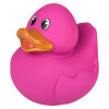 Rubber Duckies 5.5" Collectible Bulk 72 Pieces Six Assorted Colors Showing Fuchsia Ducky Left Side Angle Carnival Prizes Party Favors