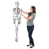 Inflatable Halloween Skeleton Bulk Party Favors