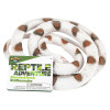 Rubber Banded Rock Rattlesnake Toys Wholesale Case of 48