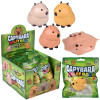 Splat capybara 2.5" 144 pcs bulk toy gifts 3 assorted colors and inner display case.