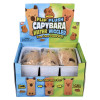 Capybara plush water wiggler 5.5" 36 pcs bulk reversible toy gifts inner display case front.