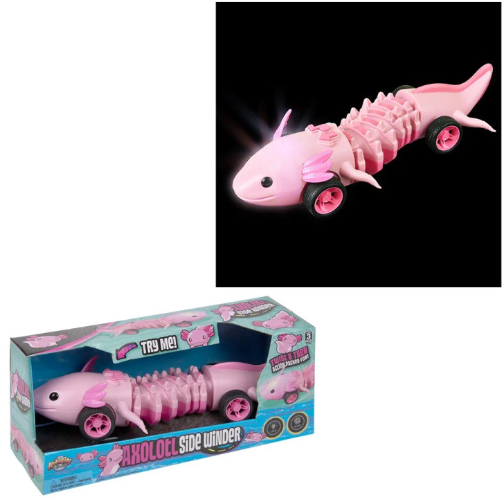 Axolotl Side Winder 12" - 12 Pcs Bulk Musical Moving Toy Gifts