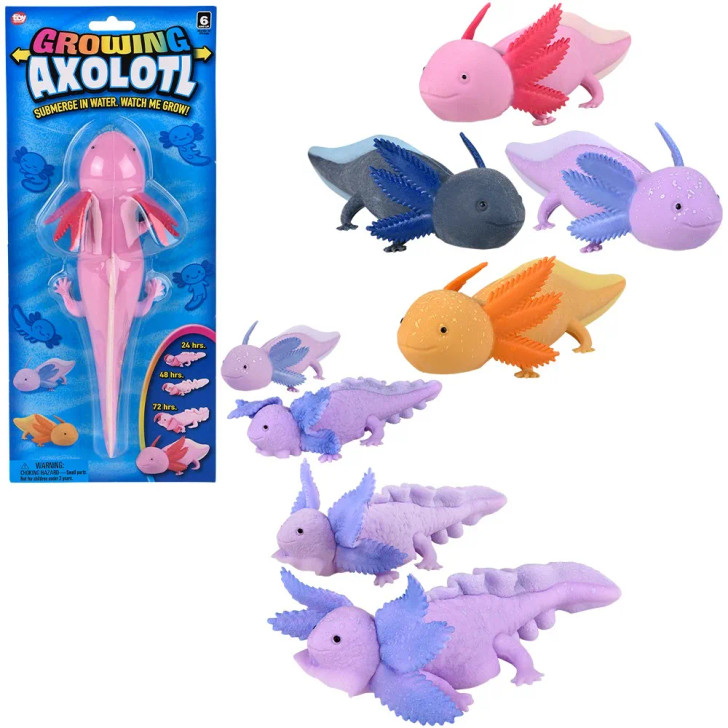 Growing Axolotl 9" - 24 Pcs Bulk Toy Gifts