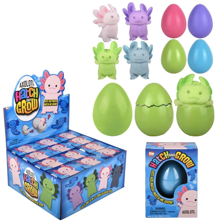 Small Hatch and Grow Axolotl Eggs 2.5" Each