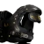 ARC_V1 YOUTH SHOULDER PADS