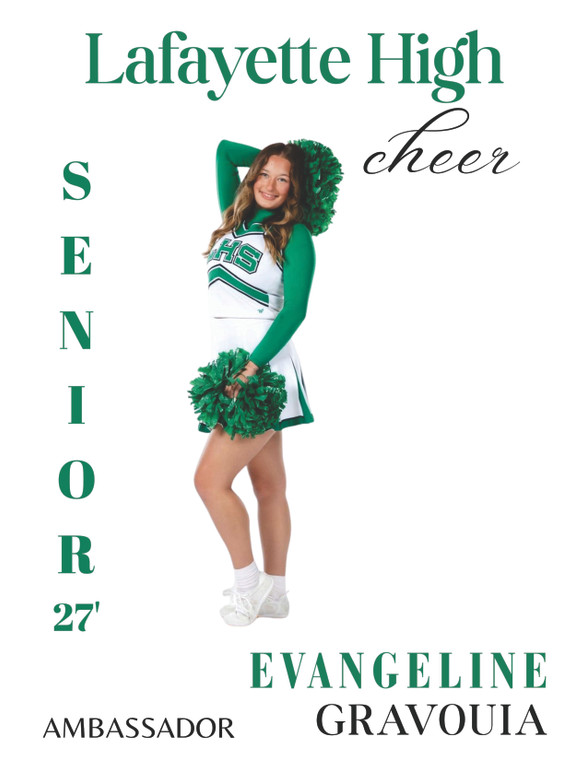 LHS Senior Cheerleaders Banner