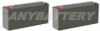 Item# 4069  (2-Battery Set)