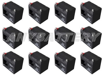 Item# 7814-2 is a 12-Battery Set