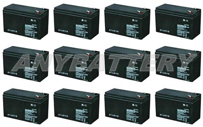 Item# 7816-2  (12-battery Set)