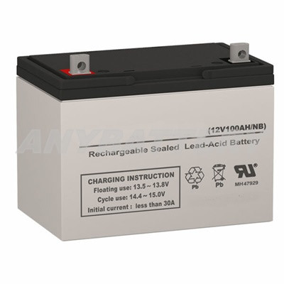 12v 100ah AGM Battery