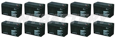 Item# 1319-i  (10-Battery Set)