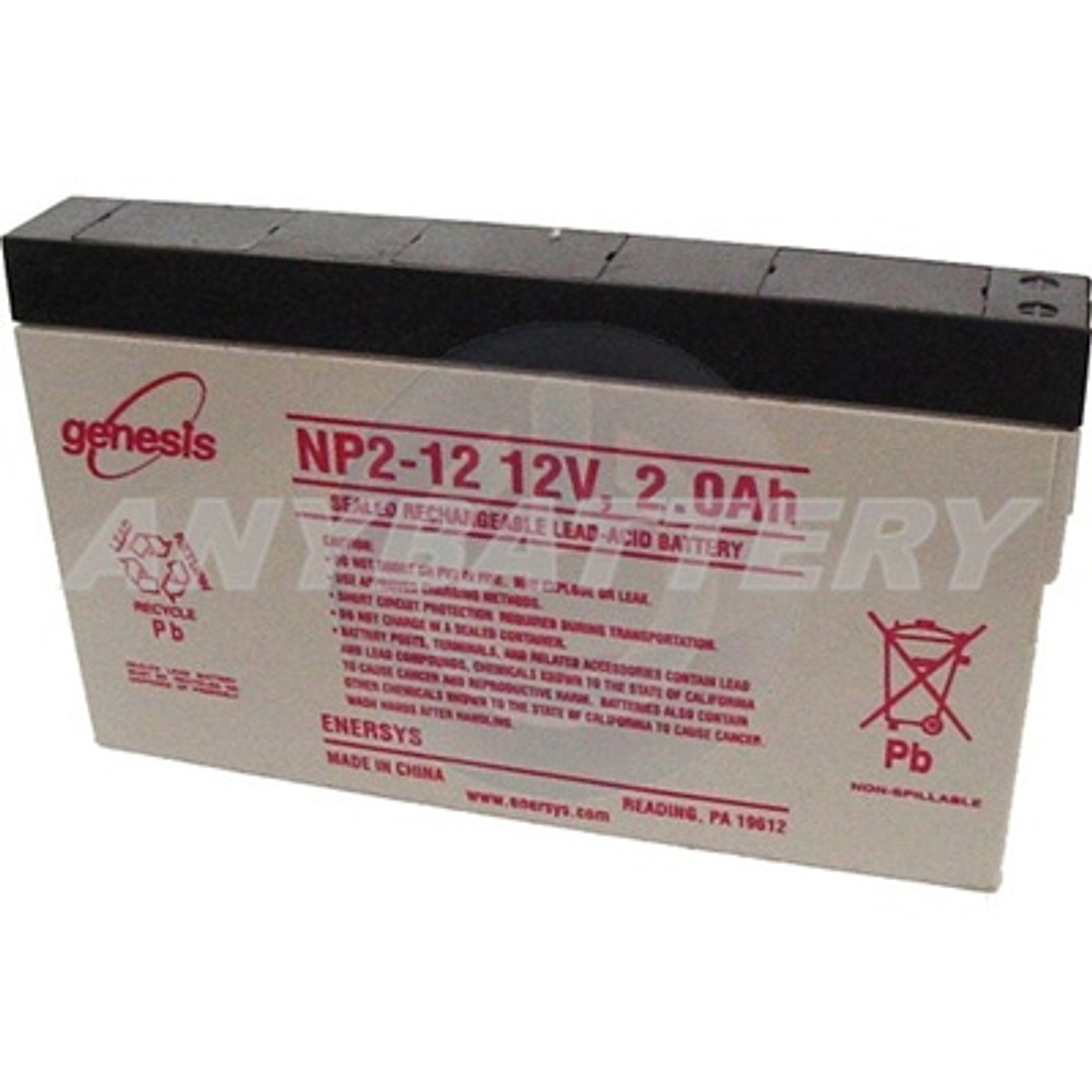 Yuasa NP2-12 Battery